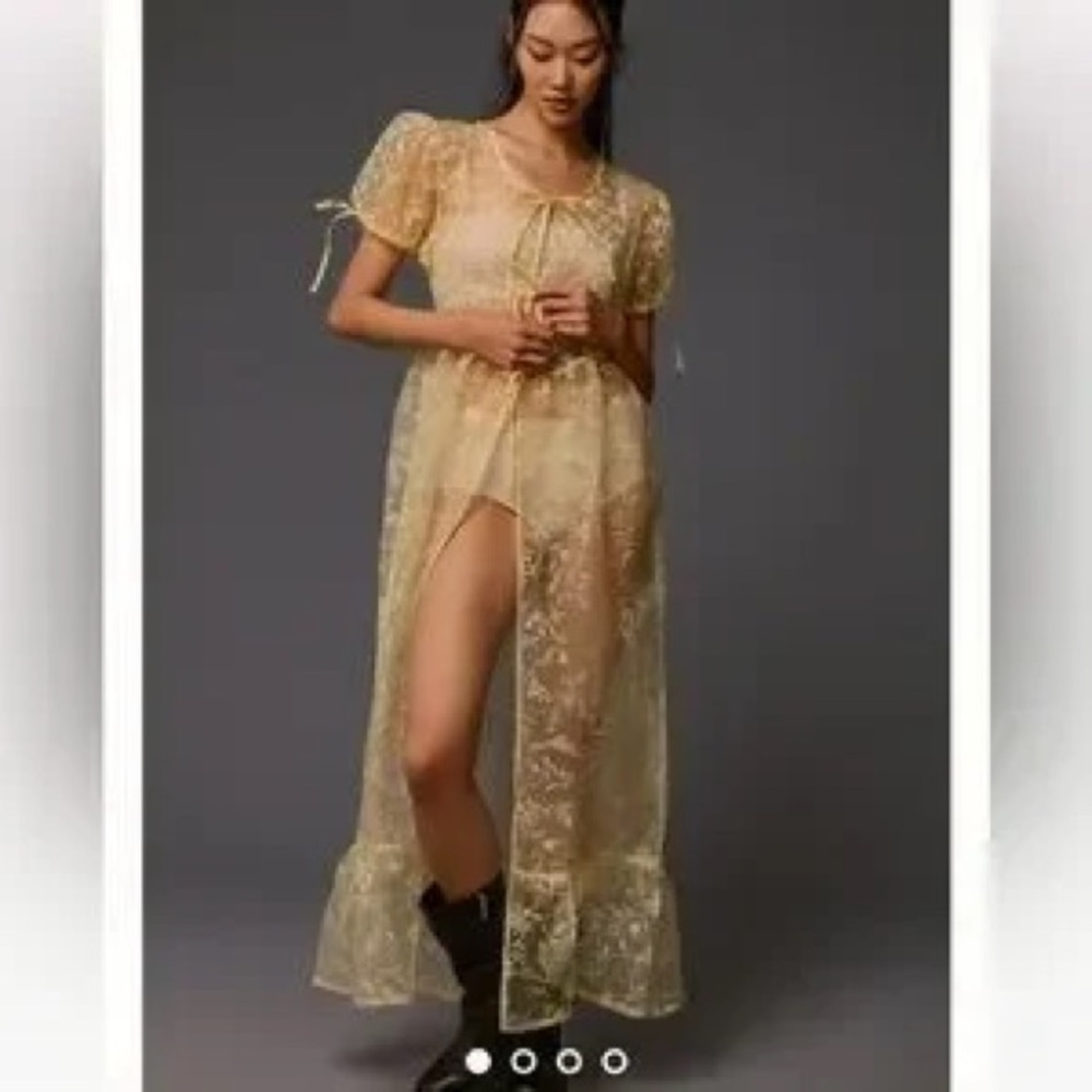 Anthropologie Sheer Lace Maxi Dress in Pale Gold